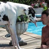 Profile Picture of Craig Stowe (@craig-stowe) on Quora