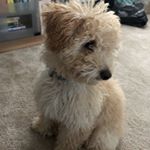 Profile Picture of Daniel England (@daniel_england01) on Instagram
