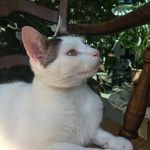 Profile Picture of Josua Edginton-Jefford (@josuaej) on Instagram