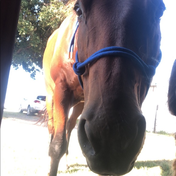 Profile Picture of Chloe Morrison (@chloemorrison14) on Poshmark