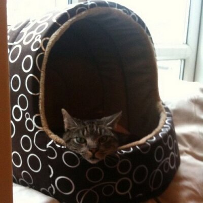 Profile Picture of John R Strutt (@JRStrutt) on Twitter