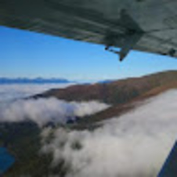 Profile Picture of Christine Rzepka (@chooch9115) on Poshmark