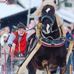 Profile Picture of Martin Weber (@martin.weber.129) on Instagram