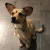 Profile Picture of Jason Gillis (@jason.gillis.77128) on Facebook
