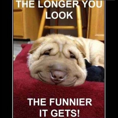 Profile Picture of Nolan Foster (@nolanfoster4) on Twitter