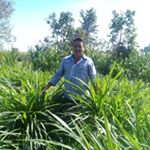 Tony fragoso - Instagram Profile Picture of Tony fragoso (@fragoso_tony) on Instagram