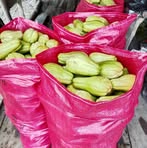 Albert Ber - Facebook Profile Picture of Albert Ber (@albert.ber.2025) on Facebook