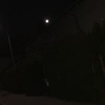 Profile Picture of Robert Jovanovic (@robert_officiial) on Instagram