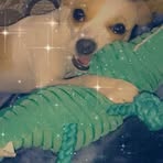 Kailey Summers - Facebook Profile Picture of Kailey Summers (@Kailey-Summers) on Facebook