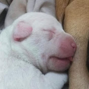 Profile Picture of Jason Patterson (@jasonpatterson4967) on Youtube