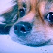 Profile Picture of Marc Zarate (@marczarate9765) on Youtube