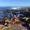 Profile Picture of matthewrosenthal98 (@@rock_lobster3) on Tiktok