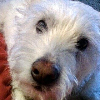 Profile Picture of Michael McGoff (@michael.mcgoff) on Facebook