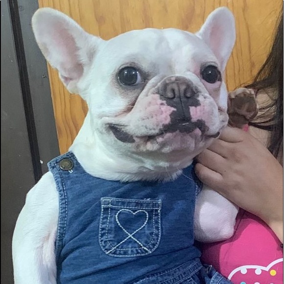 Profile Picture of Mario Olivarez (@mariony88) on Poshmark