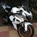 Profile Picture of Ted Honey (@k9gixxers) on Twitter