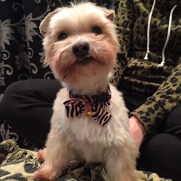 Profile Picture of Jacqueline Rayment (@jacq4344) on Poshmark