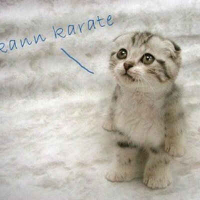 Profile Picture of Lucy Sommer (@lucy_sommer) on Twitter