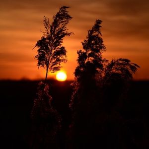 Stefano Rocco - Myspace Profile Picture of Stefano Rocco (@stefanoyesstudio) on Myspace