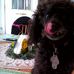 Profile Picture of Eleanor Pliscofsky (@profile.php) on Facebook