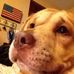 Profile Picture of Tony Lucus (@tony.lucus.5) on Facebook