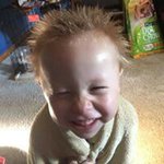 Profile Picture of Laurie Hines (@hineslaurie) on Instagram