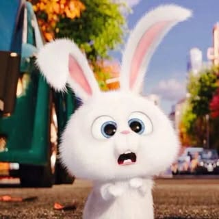 Profile Picture of Jianping Yuan (@jianping.yuan) on Instagram