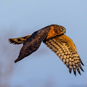 Profile Picture of Dean Irwin (@Irwined) on Youtube