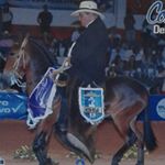 Profile Picture of Anibal Velez (@anibalvelezg) on Instagram