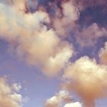 Profile Picture of Caitlin Maynard (@cmeaghan93) on Instagram