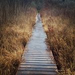 Profile Picture of Katelyn Cline (@katelyncline2018) on Instagram