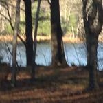 Profile Picture of Jolene McKay (@jolene.mckay.39) on Instagram