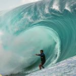 Profile Picture of Félix BOURGOIN  🌴ahiti (@felixbourgoin) on Instagram