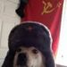 Profile Picture of TYLER KOCH (@tkoch1117) on Pinterest