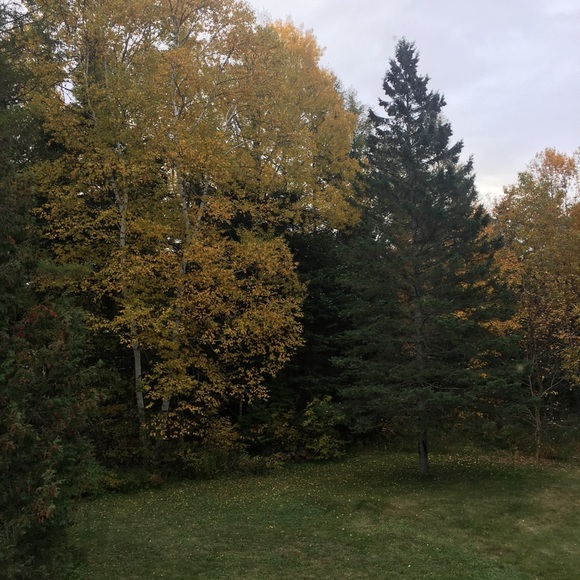 Profile Picture of Jamie Brideau (@jamieb687) on Poshmark