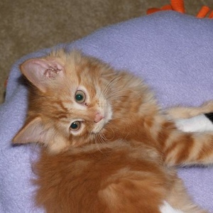 Profile Picture of S. Ellen (@344732076) on Myspace