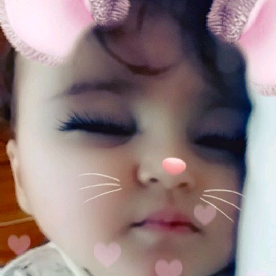 Profile Picture of Jimmy Tipton (@@jimmytipton) on Tiktok