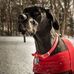 Profile Picture of Chris Liggett (@chris.liggett.3) on Facebook