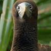 Profile Picture of nathanlindstrom46 (@@nathanlindstrom46) on Tiktok
