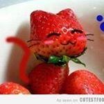 david pechtel - Instagram Profile Picture of david pechtel (@drerdbeerbar) on Instagram