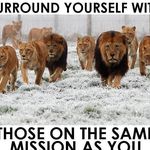 Profile Picture of Lion Real (@kristopher.rose.9) on Instagram