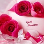 Profile Picture of mark (@markrodrigo1) on Instagram