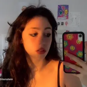 Profile Picture of kay (@kaylalichtenstein) on Tiktok