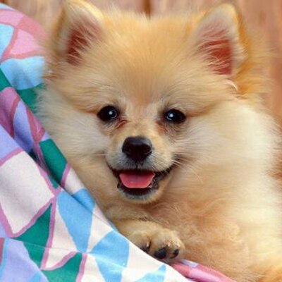 Profile Picture of Nice (@NiceJungTak) on Twitter