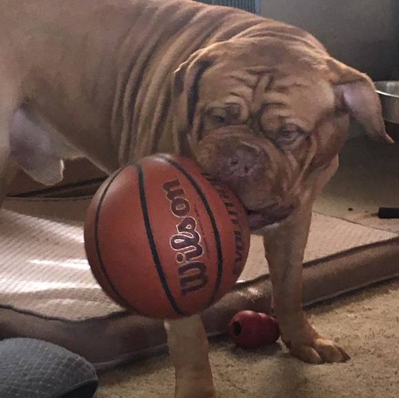 Profile Picture of Jennifer Twing (@jennifertwing73) on Poshmark