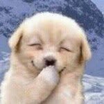 Profile Picture of Betty Cota (@b.cota) on Instagram