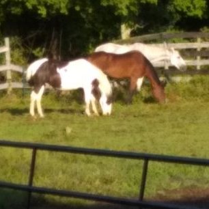 Profile Picture of Greg Johnson (@custer19501) on Twitter