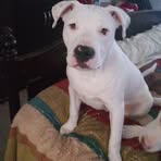 Profile Picture of Joseph Minnichhofer (@joseph.minnichhofer.1) on Facebook