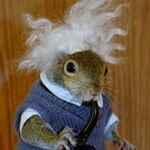 Profile Picture of Barbara Shapiro (@bgshap2) on Instagram