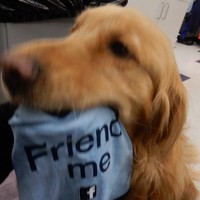 Lea Ann Mccaslin - Quora Profile Picture of Lea Ann Mccaslin (@lea-ann-mccaslin) on Quora