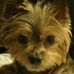 Profile Picture of Paula Blackman (@paula.blackman.9406) on Facebook